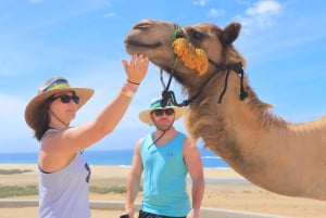 Beach Camel Ride & Encounter in Cabo by Cactus tours park