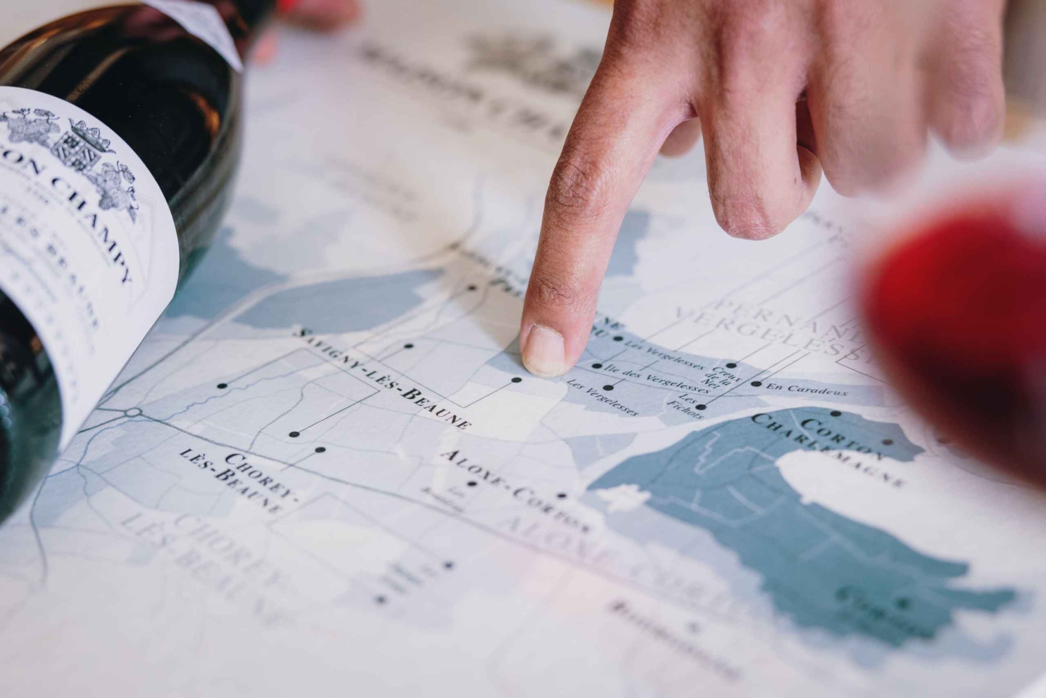 Beaune: excursão guiada à adega Maison Champy com degustação de vinhos