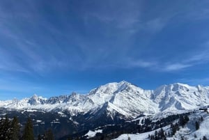 Bespoke Private Tour Chamonix - Day Trip with Host