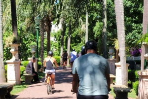 Bike and Boat Tour: Buenos Aires and the River