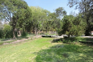 PRZEJAŻDŻKA ROWEROWA PRZEZ KULTOWE MIEJSCA CDMX / ŚNIADANIE I PIWO