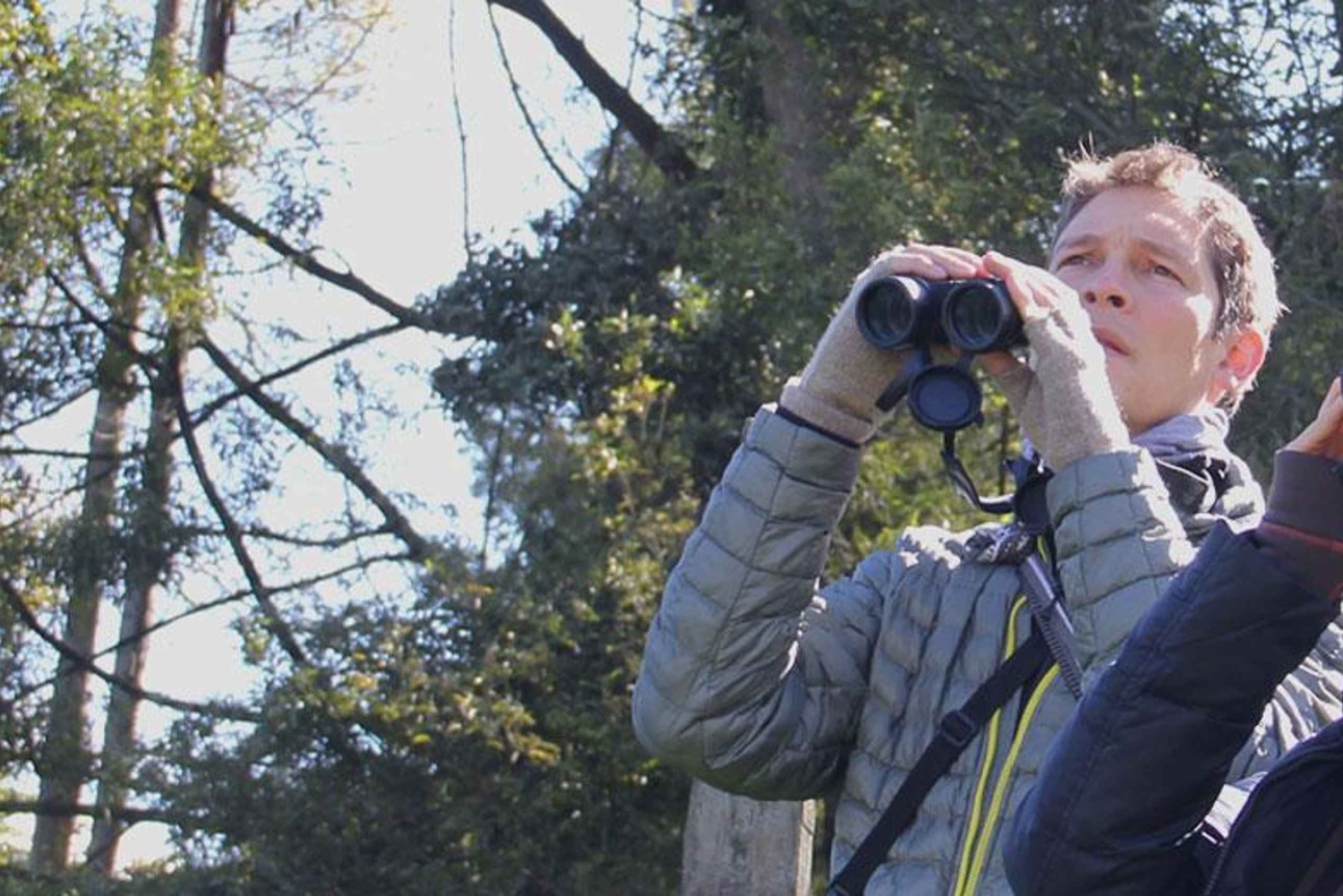 Bogota Chingaza Park & hummingbirds Birding Day Tour + lunch