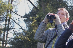 Bogota Chingaza Park & hummingbirds Birding Day Tour + lunch