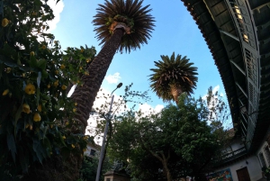 Bogotá: La Candelaria, Gold Museum, & Guadalupe Hill Tour