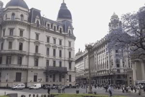 Buenos Aires : Highlights Walking Tour With A Guide