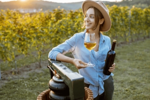 Buenos Aires: Mendoza Weinparadies Tagestour mit Flugpreis