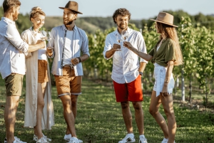 Buenos Aires: Mendoza Weinparadies Tagestour mit Flugpreis