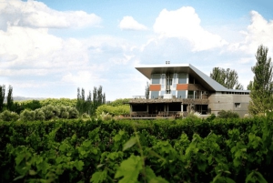 Buenos Aires: Mendoza Weinparadies Tagestour mit Flugpreis