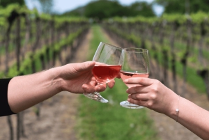 Buenos Aires: Mendoza Weinparadies Tagestour mit Flugpreis