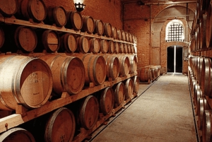 Buenos Aires: Mendoza Weinparadies Tagestour mit Flugpreis