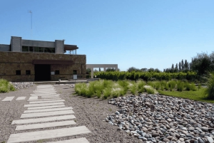 Buenos Aires: Mendoza Weinparadies Tagestour mit Flugpreis