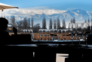 Buenos Aires: Mendoza Weinparadies Tagestour mit Flugpreis