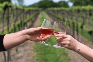 Buenos Aires: Mendoza Wine Paradise Day Trip with Airfare