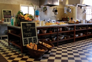 Buenos Aires: Mendoza Wine Paradise Day Trip with Airfare