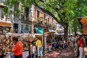 Buenos Aires norra: Privat stadsrundtur med lokal guide