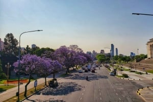 Buenos Aires Premium Stadtführung mit Street Food