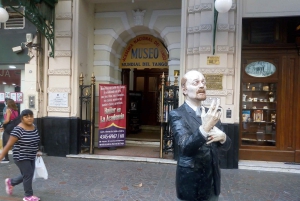 Buenos Aires: Private City Tour discovering history and culture.