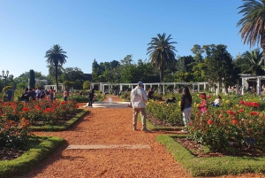 Buenos Aires: Private City Tour discovering history and culture.