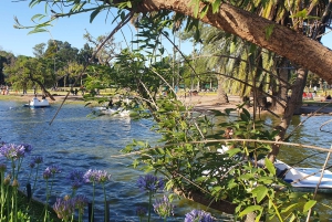 Buenos Aires: Private City Tour discovering history and culture.