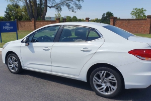 Buenos Aires: Private City Tour discovering history and culture.