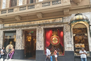 Buenos Aires: Private City Tour discovering history and culture.