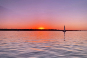Buenos Aires: Privates Segeln auf einem Segelboot mit Transfer
