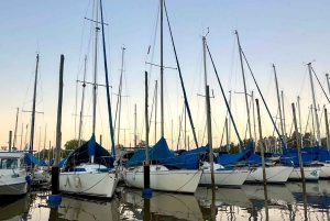 Buenos Aires: Privates Segeln auf einem Segelboot mit Transfer