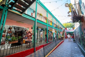 Buenos Aires: Tour turístico privado