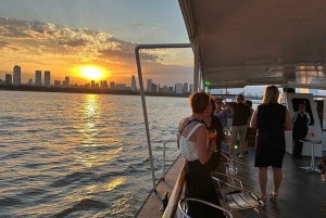 Buenos Aires : tour en bateau à Puerto Madero avec open bar