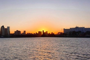 Buenos Aires : Crépuscule sur le Río de la Plata avec navigation et bar ouvert