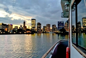 Buenos Aires: Cruzeiro ao pôr do sol no Río de la Plata com bar aberto