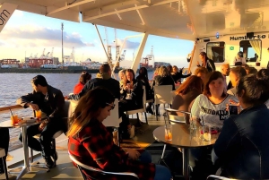 Buenos Aires: Cruzeiro ao pôr do sol no Río de la Plata com bar aberto