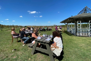 Buenos Aires: Wine Tasting and Lunch at Bodega Gamboa