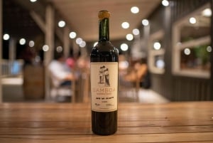 Buenos Aires: Wine Tasting and Lunch at Bodega Gamboa