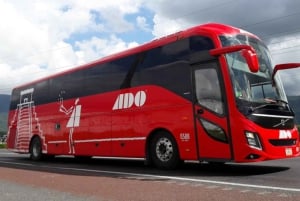 Busticket zwischen Cancun Central und Playa del Carmen