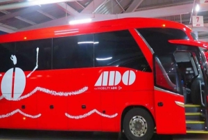 Busticket zwischen Cancun Central und Playa del Carmen