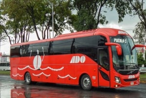 Ingresso para o autocarro que liga Cancun Central e Playa del Carmen