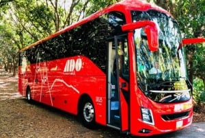 Ingresso para o autocarro que liga Cancun Central e Playa del Carmen