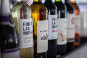 Cabo San Lucas: 2 Hour Sunset Cruise with Food and Wine