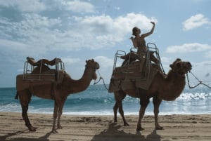 Cabo San Lucas: Increíble aventura en camello en la playa
