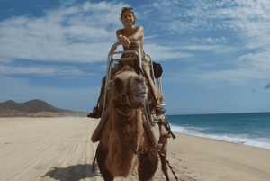 Cabo San Lucas: Increíble aventura en camello en la playa