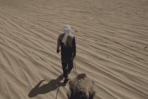 Cabo San Lucas: Increíble aventura en camello en la playa