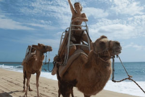Cabo San Lucas: Increíble aventura en camello en la playa