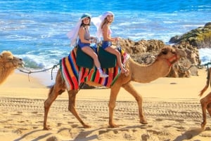 Cabo San Lucas: Combo de paseo en camello y aventura en UTV todoterreno