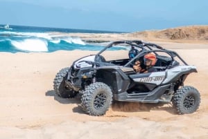 Cabo San Lucas: Combo de paseo en camello y aventura en UTV todoterreno