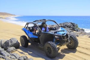 Cabo San Lucas: Combo de paseo en camello y aventura en UTV todoterreno