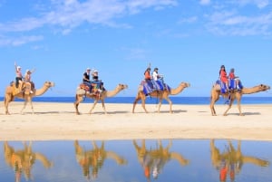Cabo San Lucas: Combo de paseo en camello y aventura en UTV todoterreno
