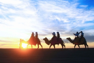 كابو سان لوكاس: ركوب الجمل على الشاطئ