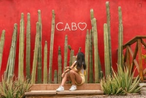Cabo San Lucas: Kamelsafari med frokost og tequila