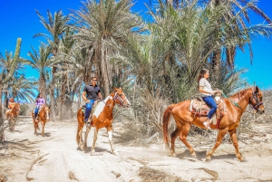 Cabo San Lucas: Horseback Riding in Migriño with Transfers